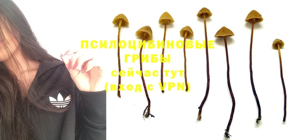 синтетический гашиш Алексин