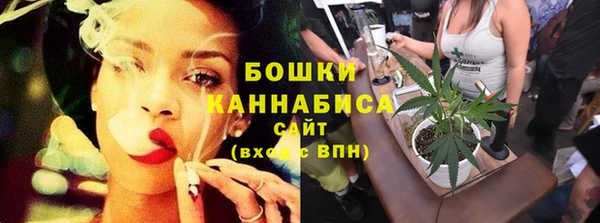 винт Пересвет