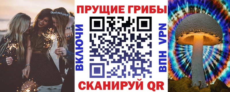 Псилоцибиновые грибы мухоморы хочу Спасск-Рязанский
